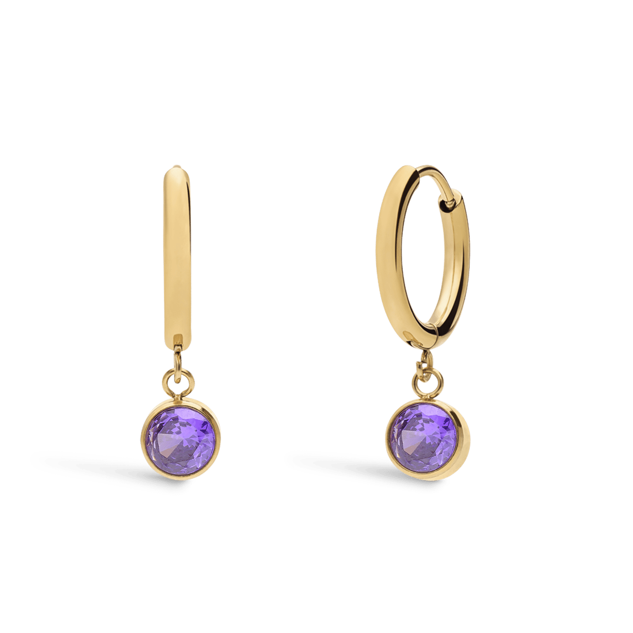 Stainless steel goldplated oorknoppen met geboortesteen Februari voor dames