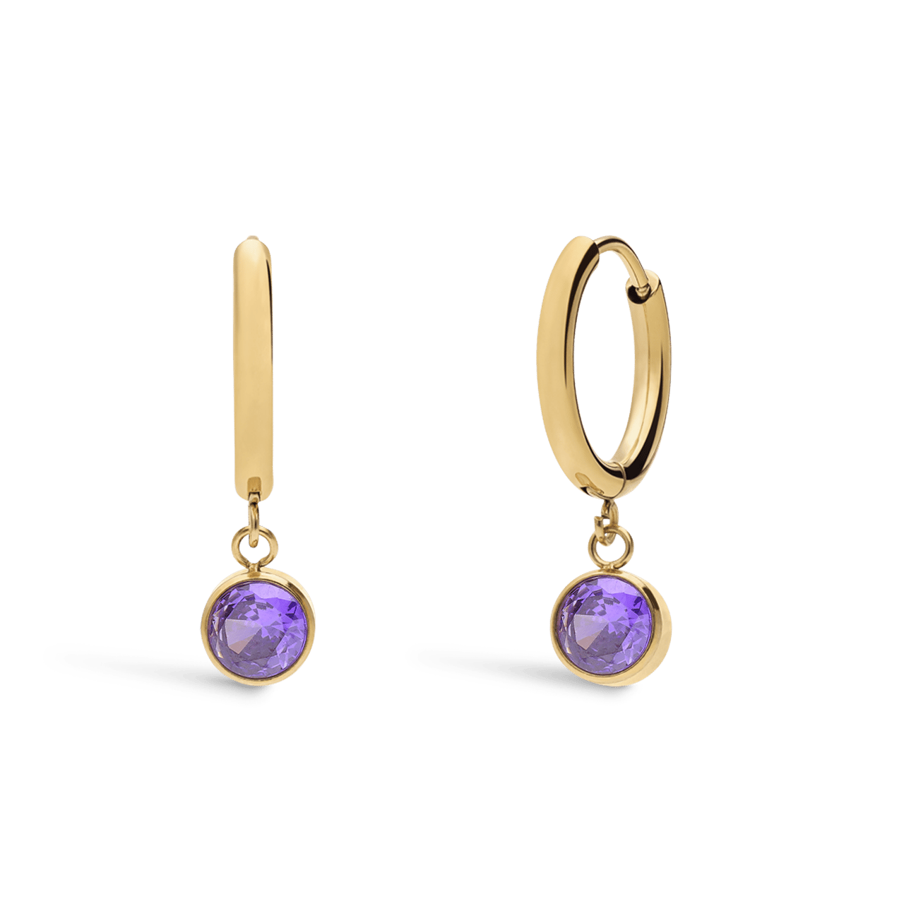 Stalen goldplated oorbellen geboortesteen februari