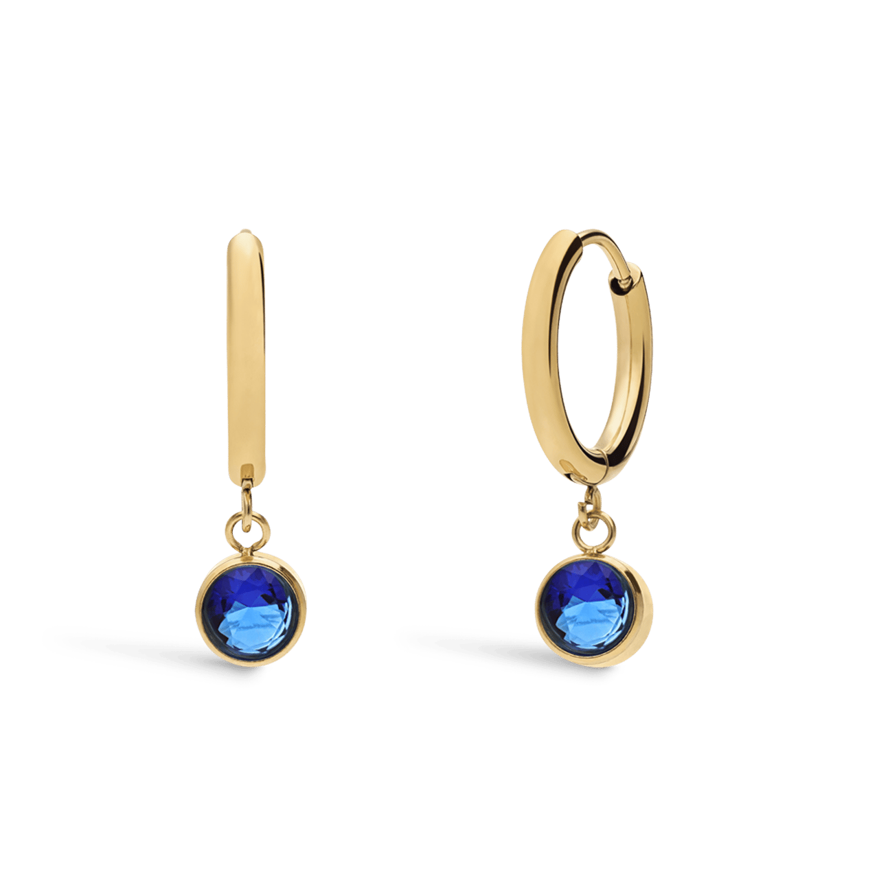 Stainless steel goldplated oorbellen geboortesteen december