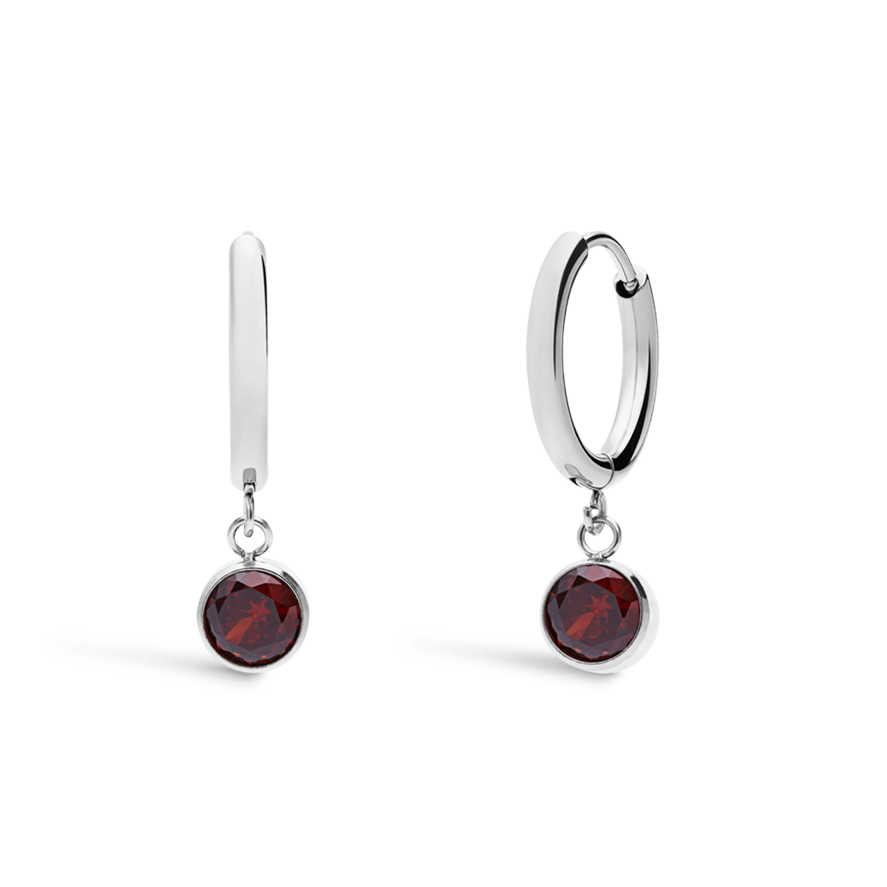 Stainless steel oorbellen met geboortesteen januari