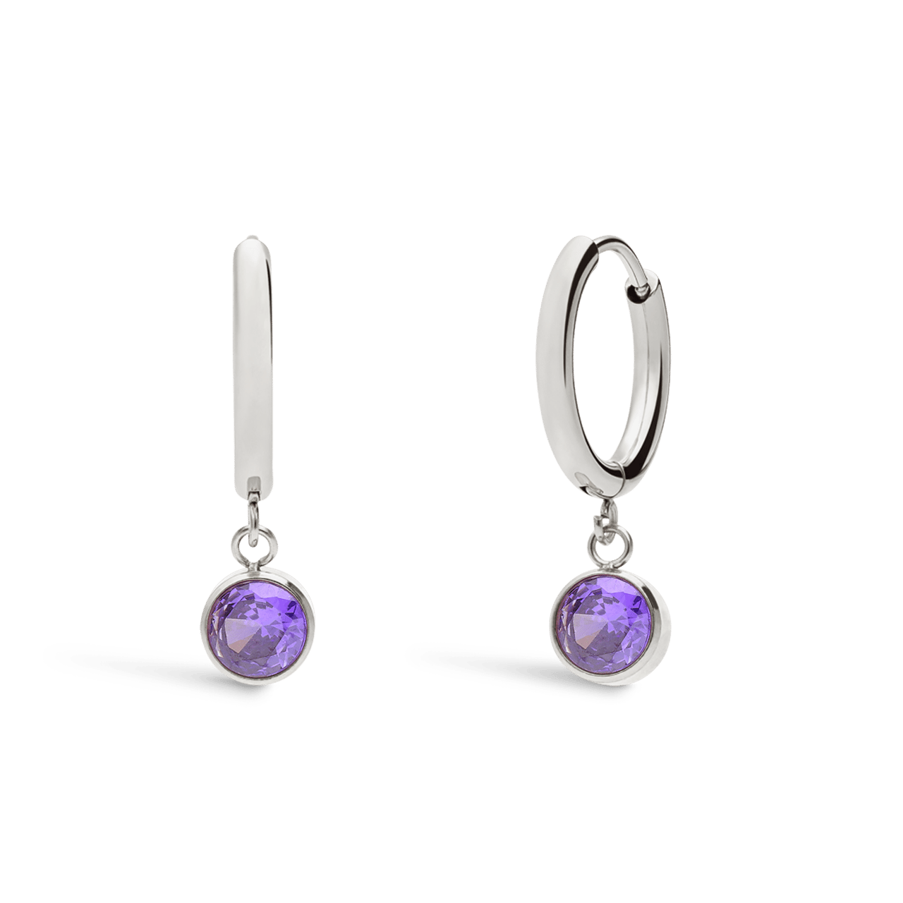 Stainless steel oorbellen met geboortesteen februari