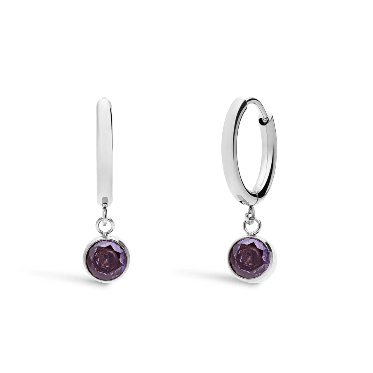 Stainless steel oorbellen met geboortesteen juni