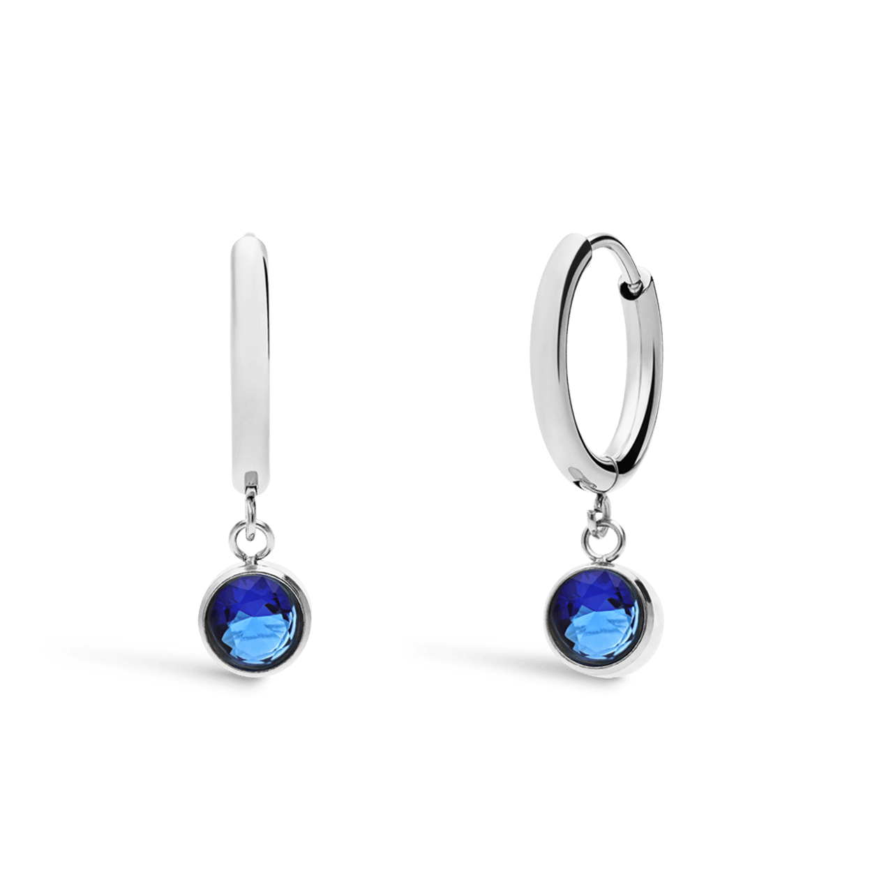 Stainless steel oorbellen met geboortesteen december