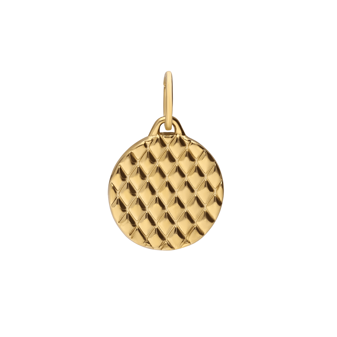 Stainless steel goldplated hanger munt met zirkonia voor dames