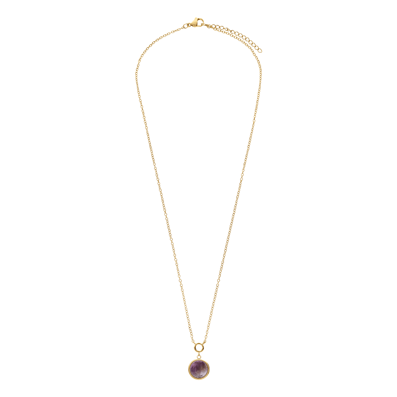 Myla stainless steel goldplated ketting met amethyst voor dames
