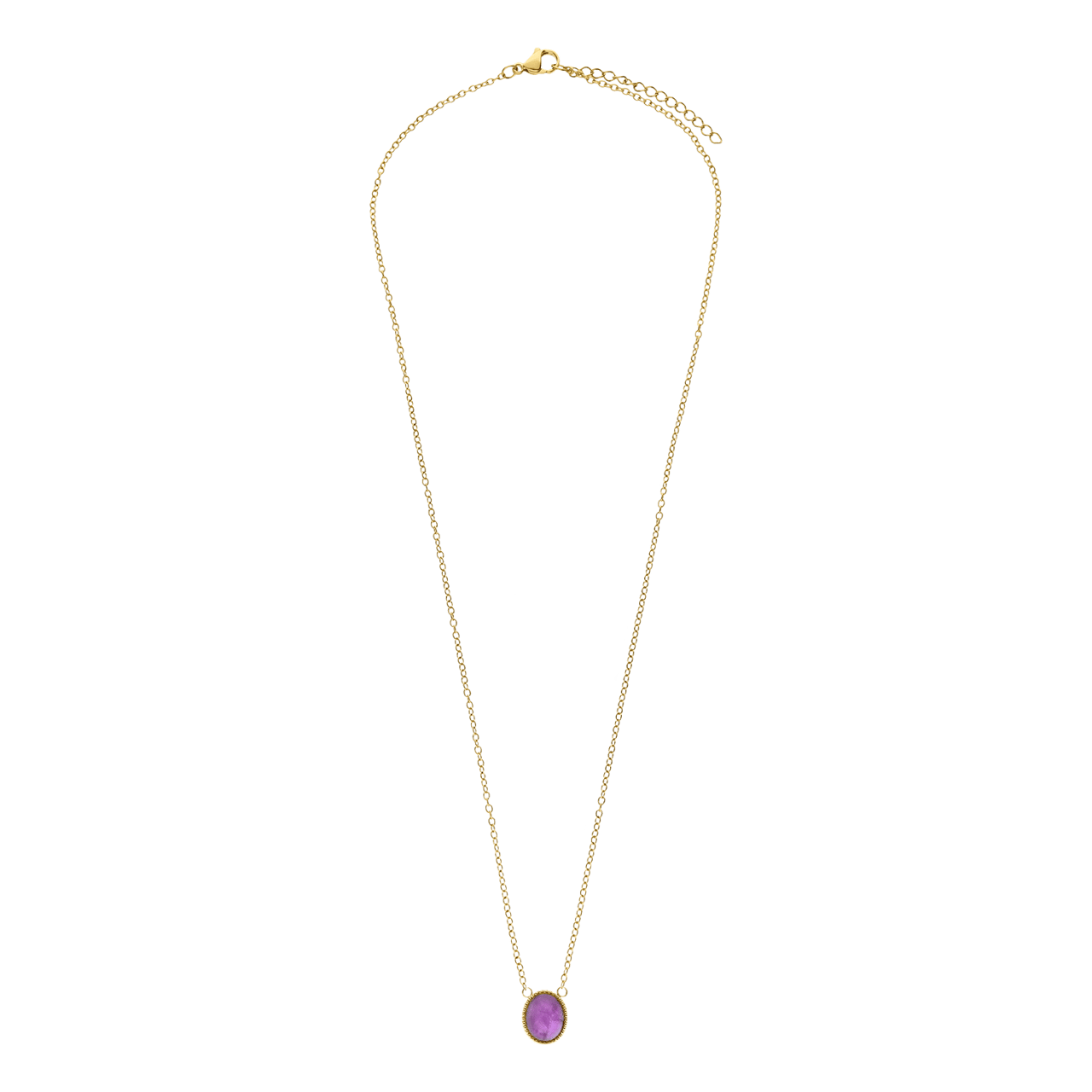 Stainless steel goldplated ketting met hanger met amethyst voor dames
