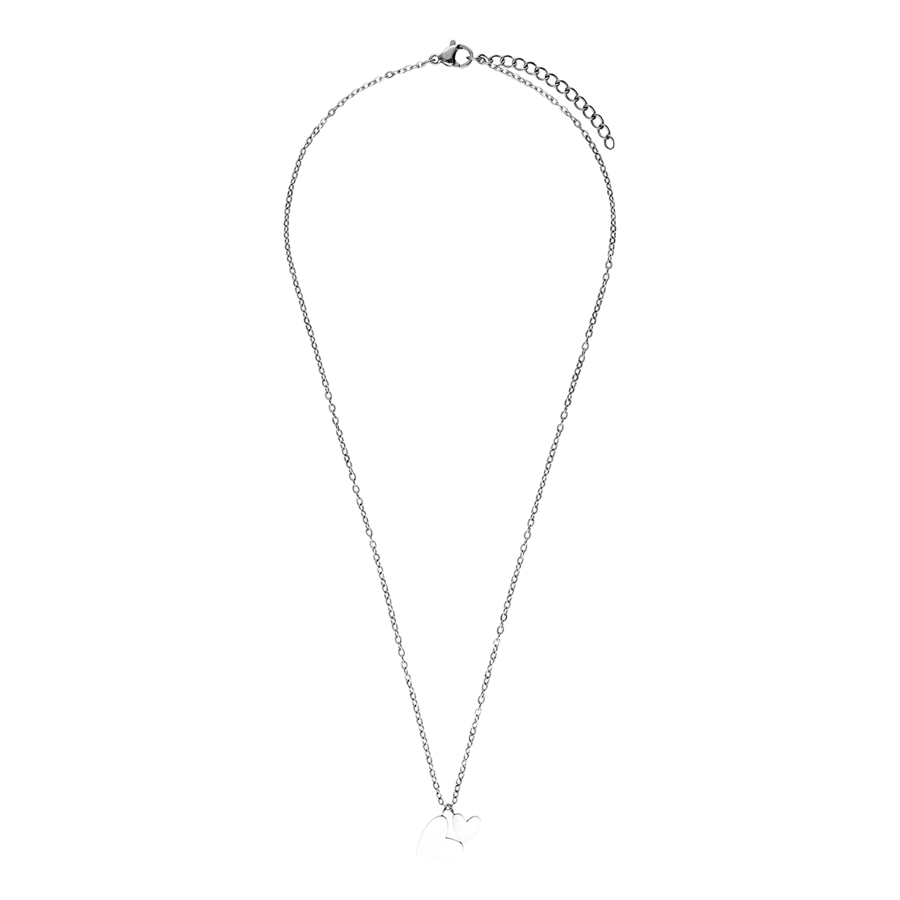 Stainless steel ketting met 2 hartjes voor dames