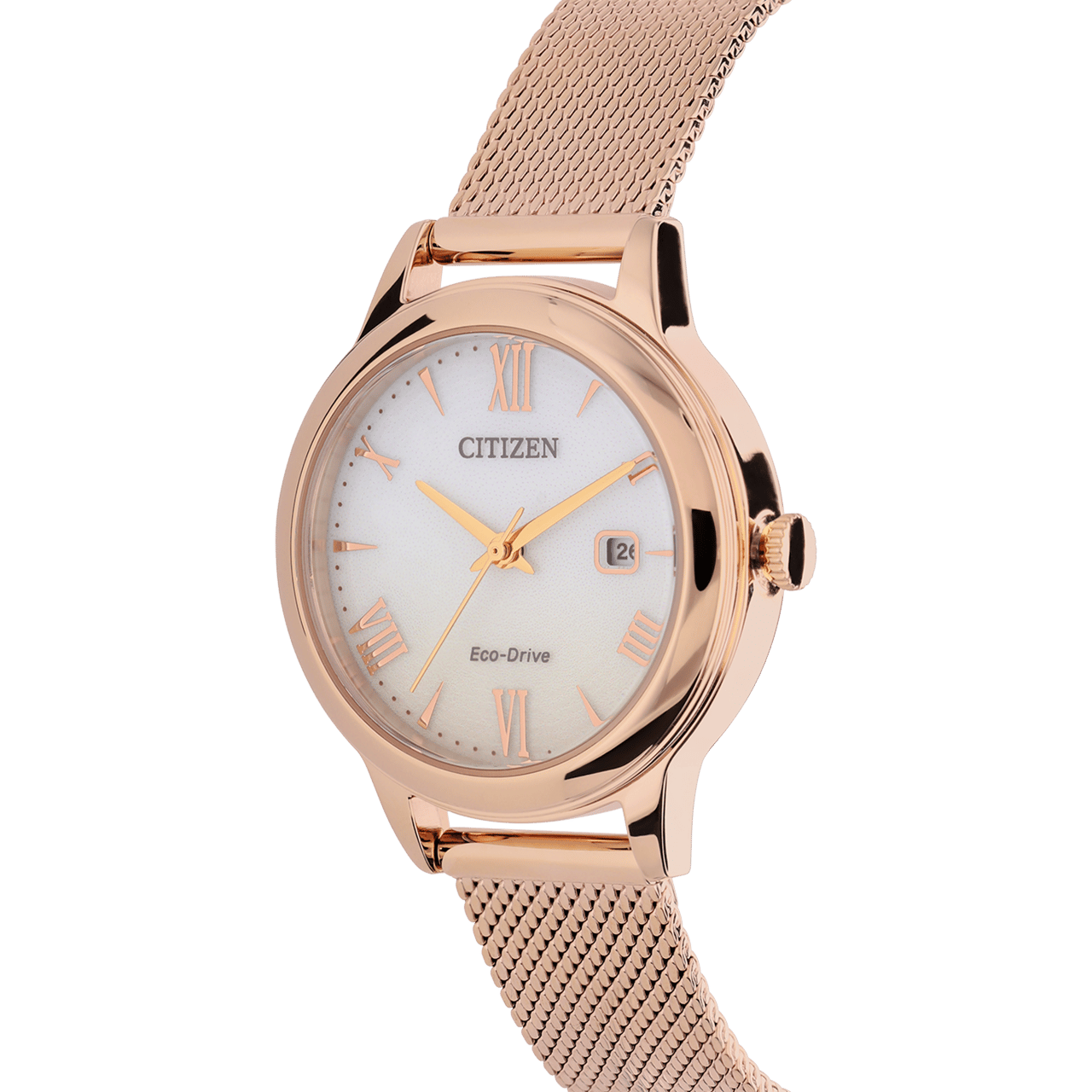 Citizen stainless steel dameshorloge EW2623-70P