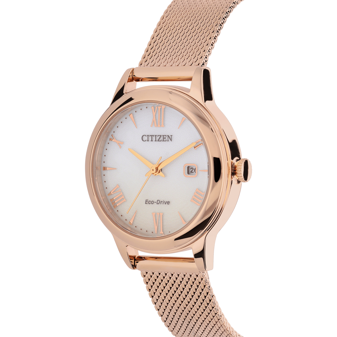 Citizen stalen dameshorloge EW2623-70P