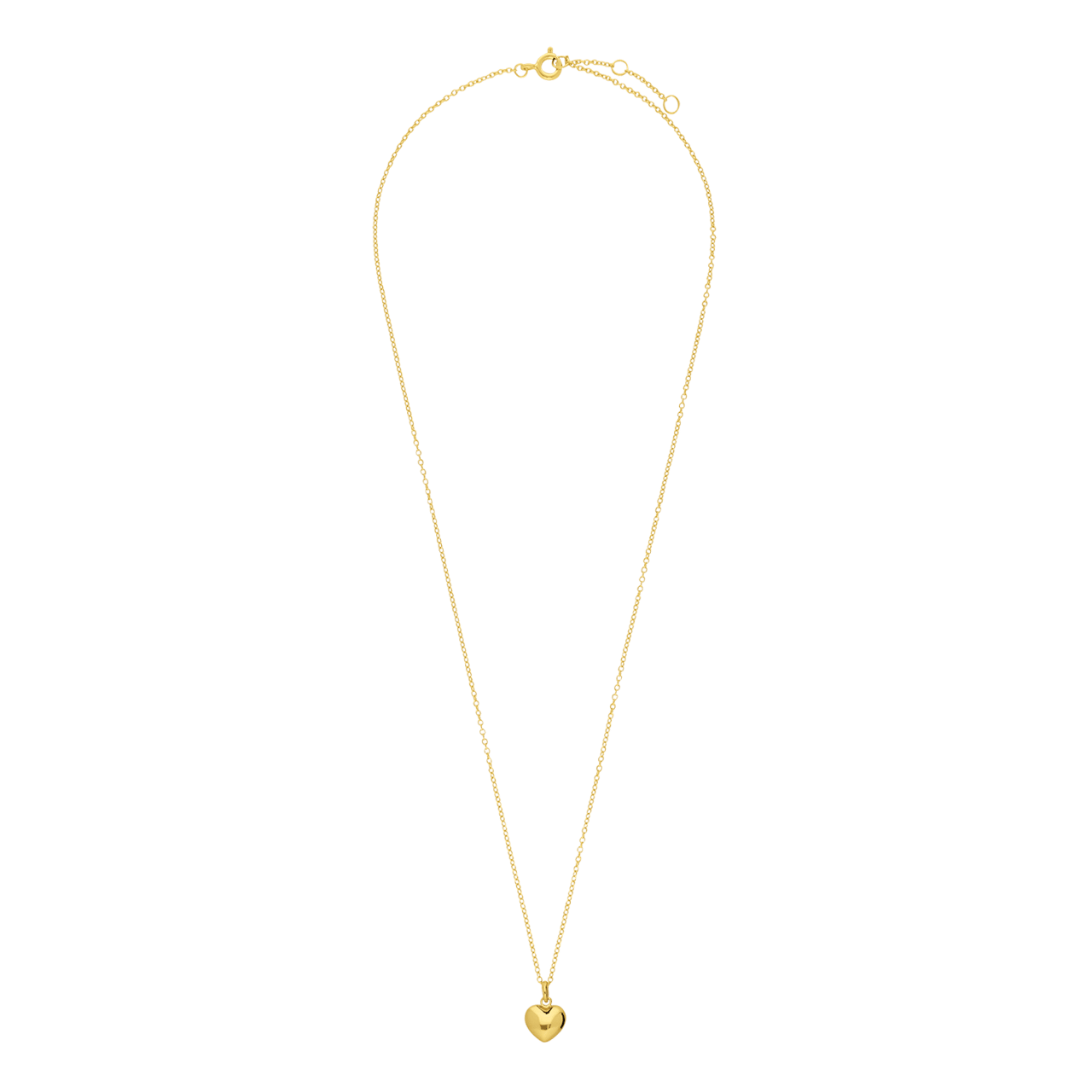 Zilveren goldplated ketting met hanger voor dames