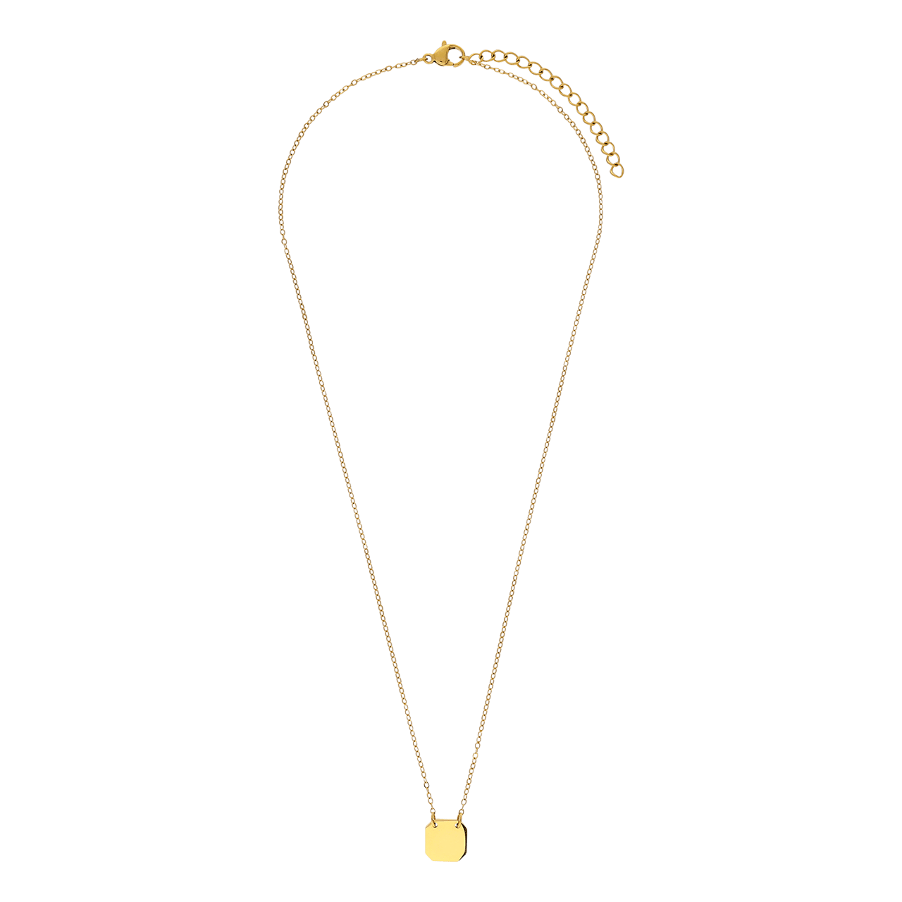 Stainless steel goldplated ketting met hanger voor dames