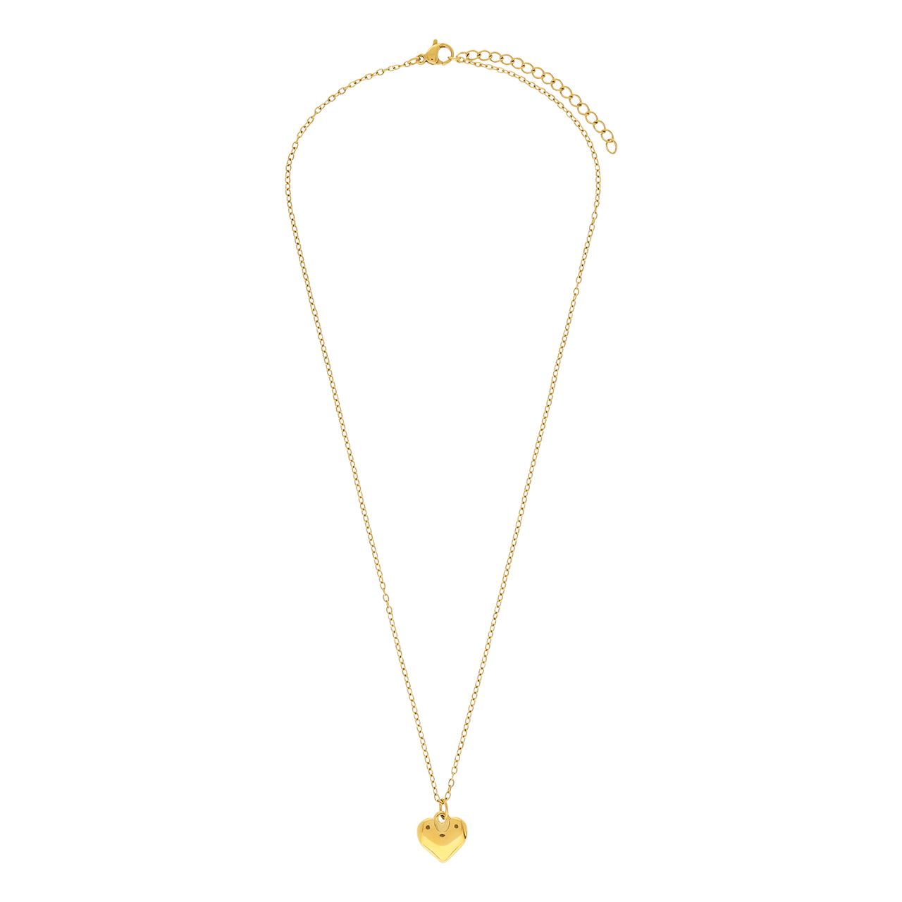 Stainless steel ketting met hanger voor dames