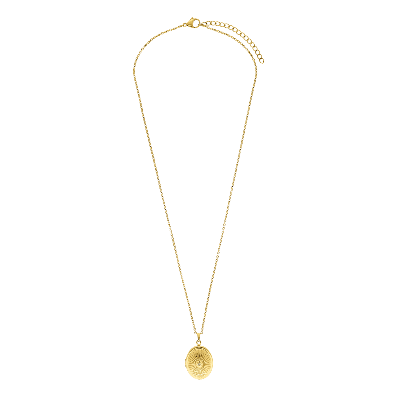 Stainless steel ketting met medaillon ovaal met zirkonia voor dames