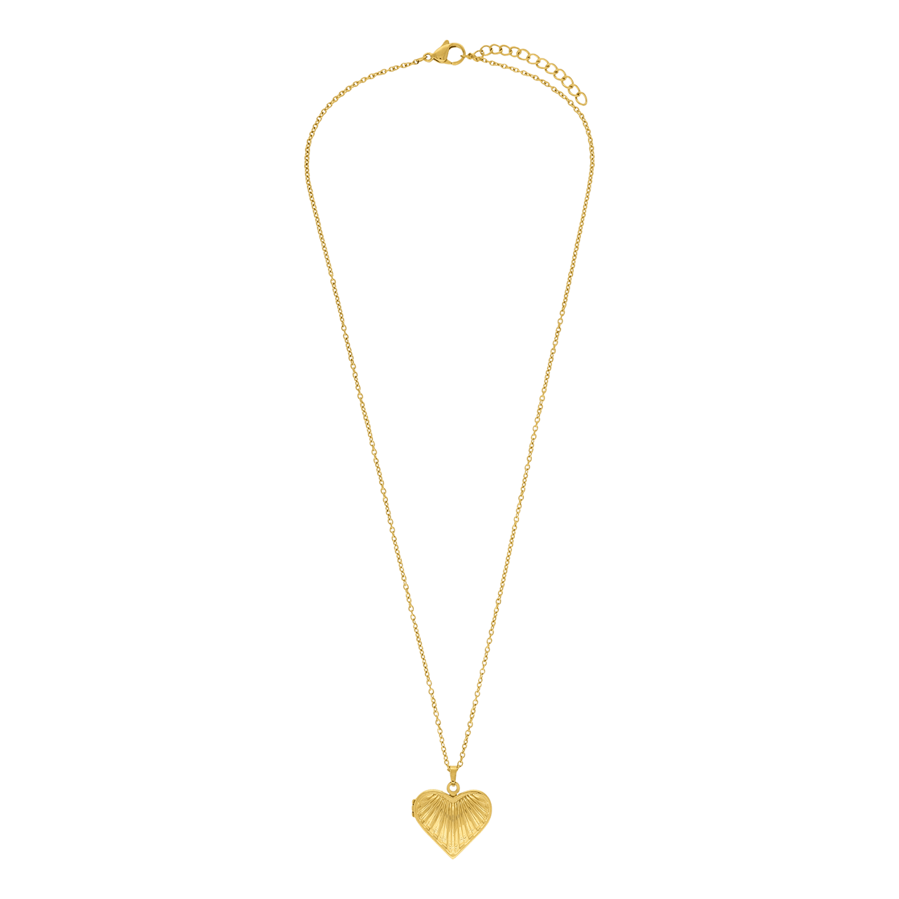Stainless steel damesketting met medaillon hart