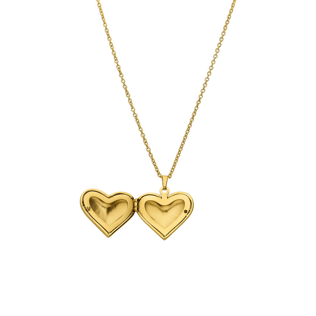 Stainless steel damesketting met medaillon hart