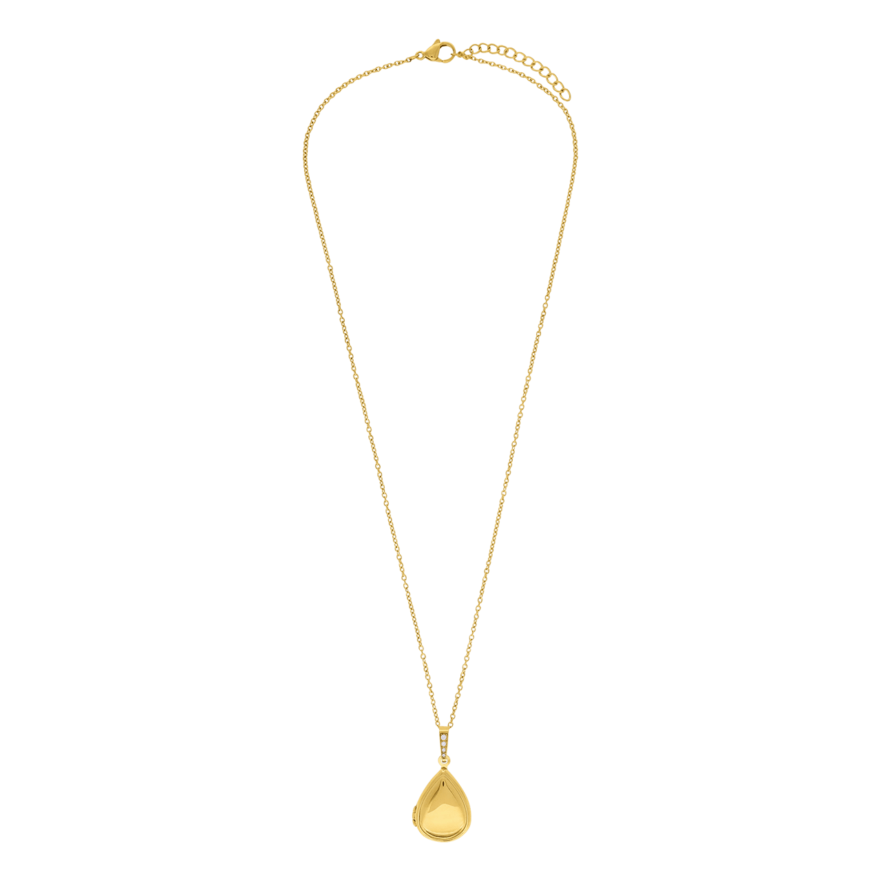 Stainless steel ketting met hanger medaillon met zirkonia voor dames