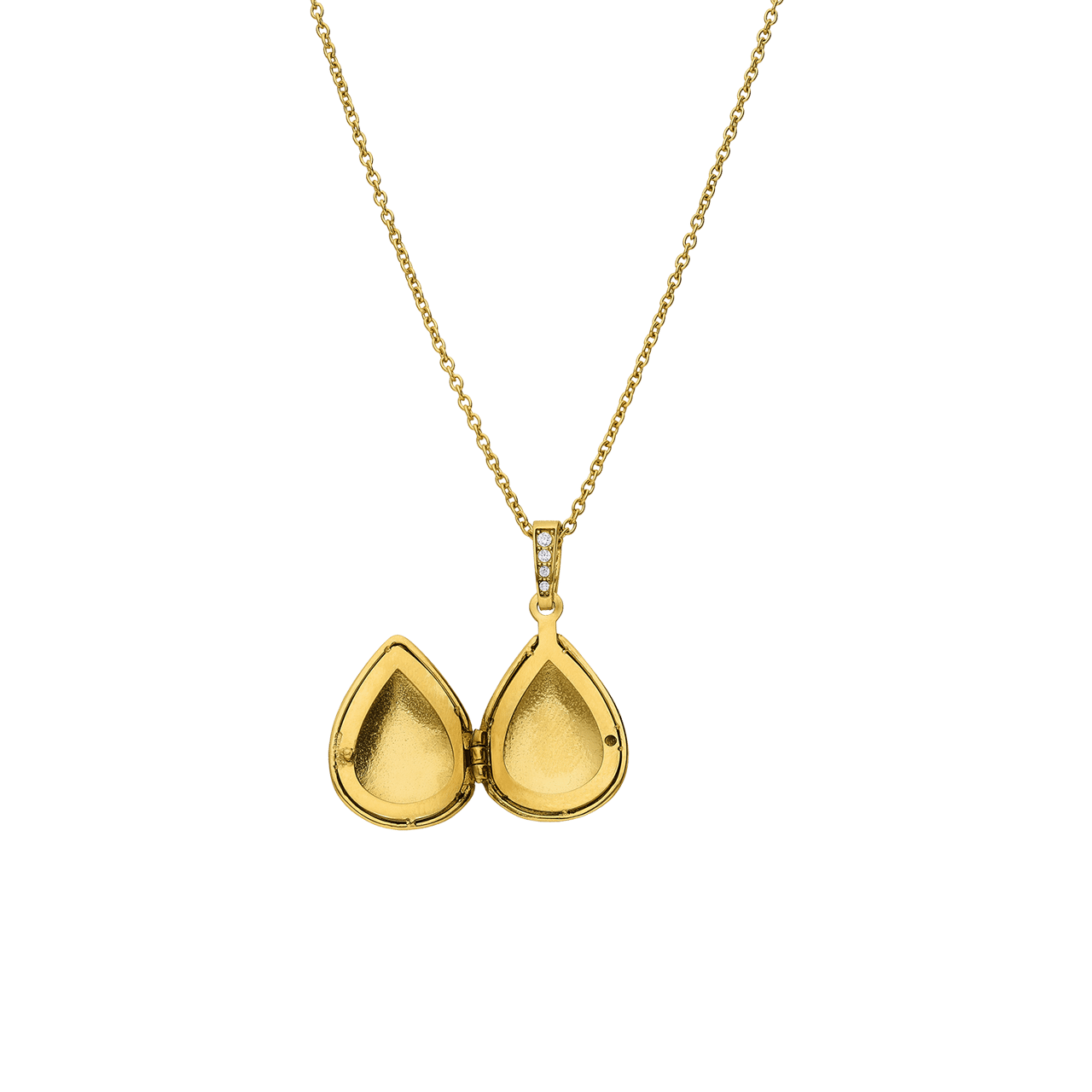 Stainless steel ketting met hanger medaillon met zirkonia voor dames