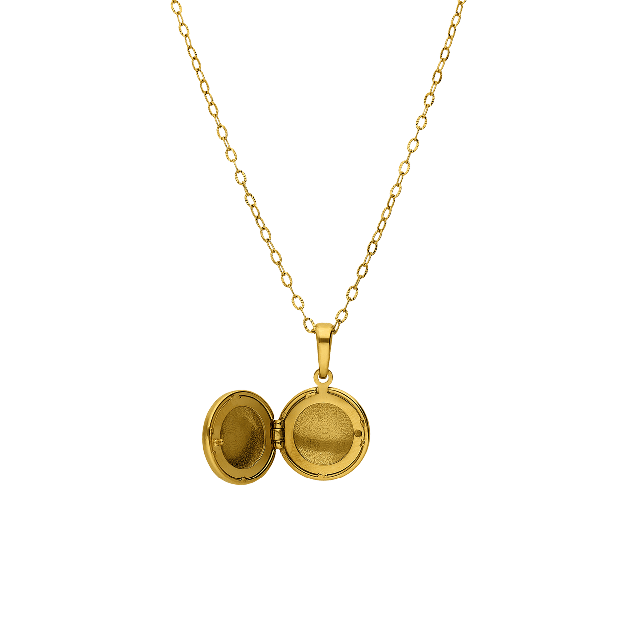 Stainless steel ketting met medaillon met zirkonia voor dames