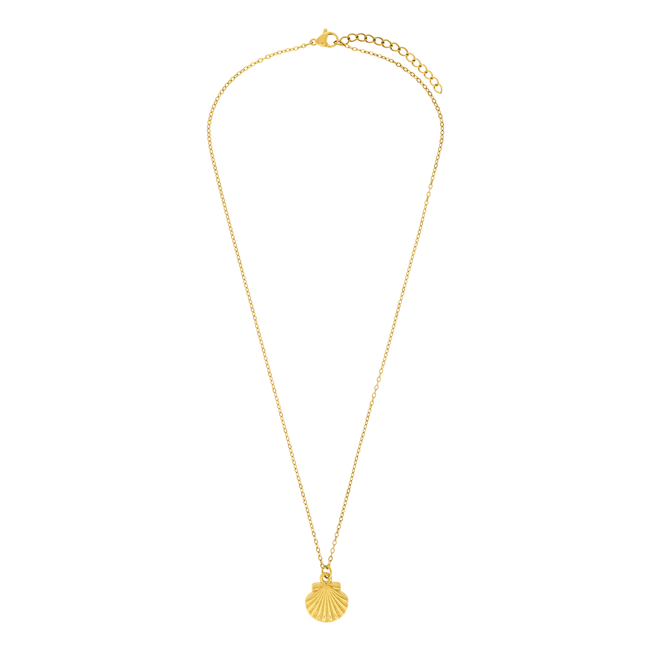 Stainless steel ketting met hanger schelp voor dames