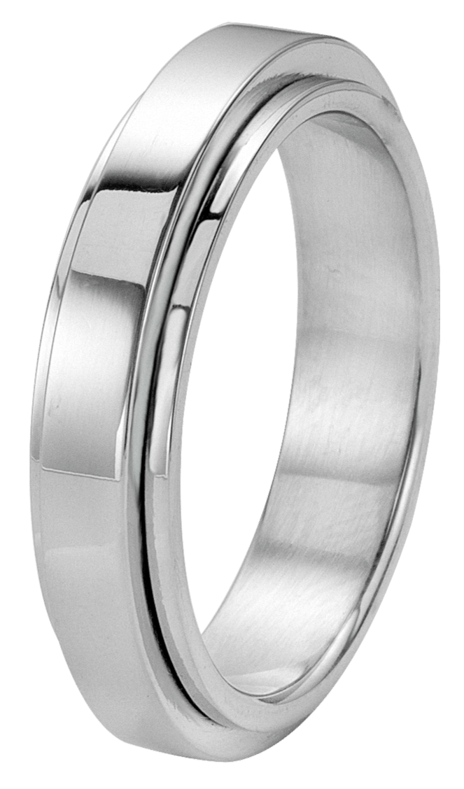 Stainless steel Vriendschapsring Pisa heren