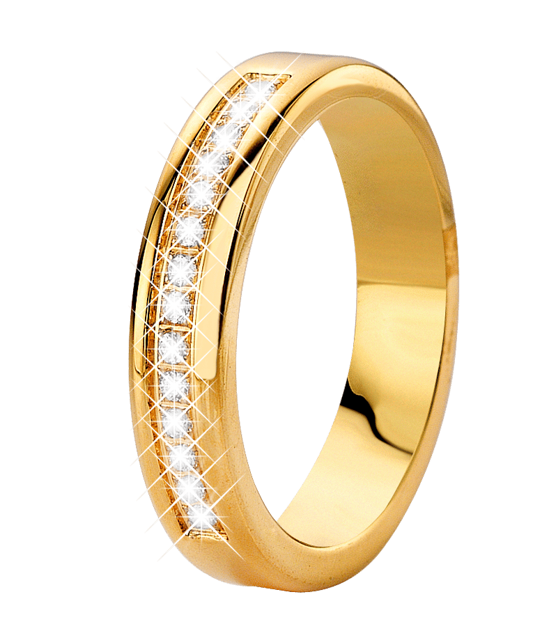 Stalen goldplated vriendschapsring Marrakech met zirkonia voor dames