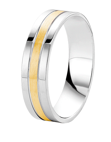 Zilveren goldplated herenvriendschapsring Athens