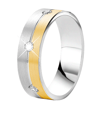 Zilveren goldplated vriendschapsring Monaco met zirkonia voor dames