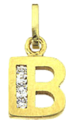 14 karaat geelgouden letterhanger met zirkonia