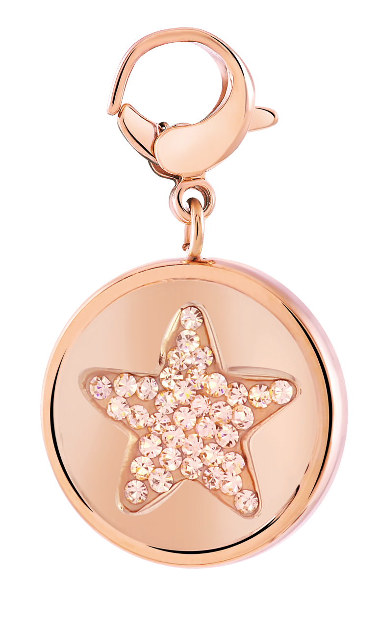 Gerecycleerd just.d stainless steel hanger rose ster/shine kristal