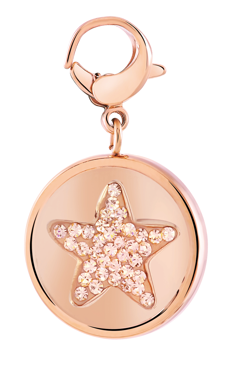 Gerecycleerd just.d stalen hanger rose ster/shine kristal