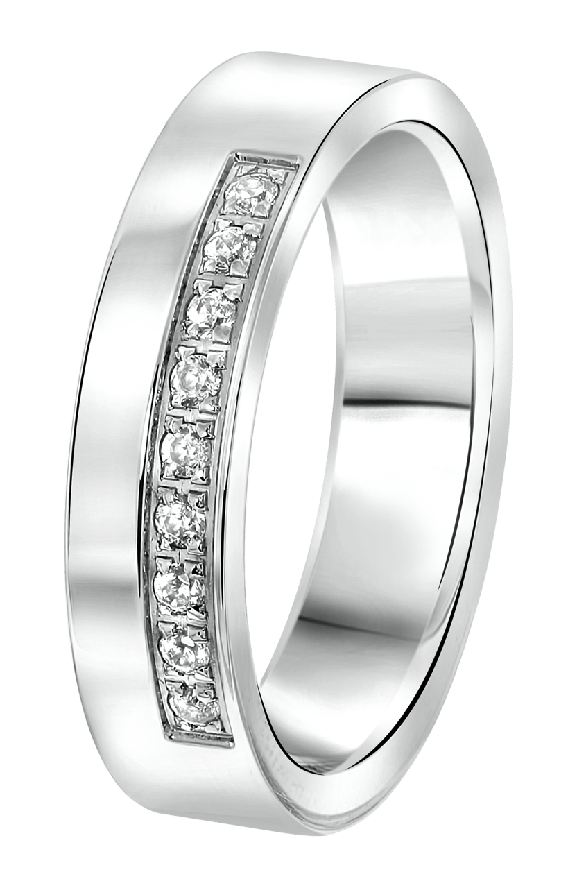 Gerecycleerd stainless steel vriendschapsring chicago dames zirkonia