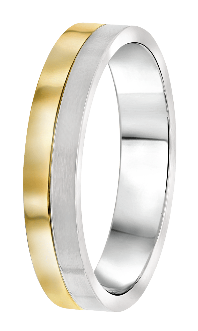 Stalen goldplated herenvriendschapsring Parijs