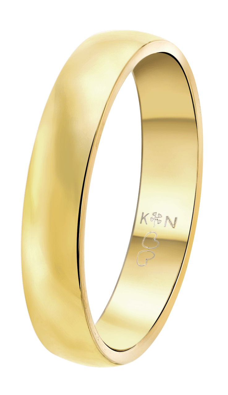 Stainless steel goldplated herenvriendschapsring Malaga