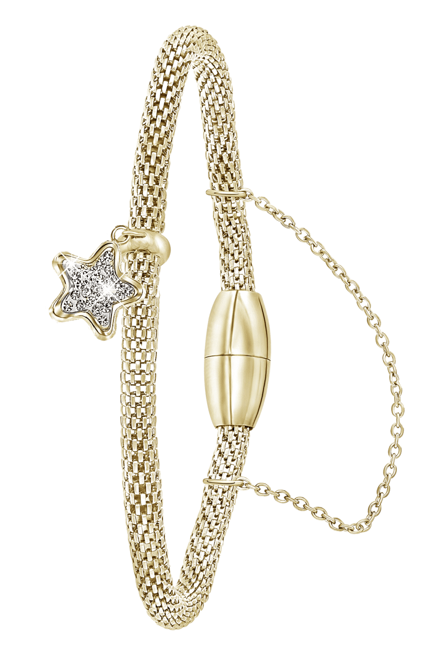 Gerecycleerd stainless steel armband mesh goldplated ster met kristal