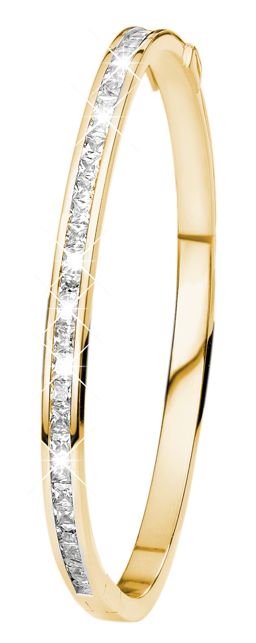 Stalen goldplated bangle met  zirkonia voor dames