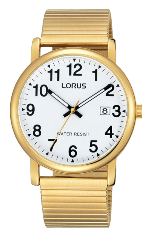 Lorus heren horloge RG860CX9