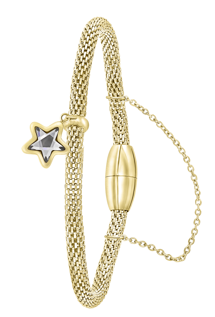 Gerecycled stalen armband mesh goldplated ster met kristal