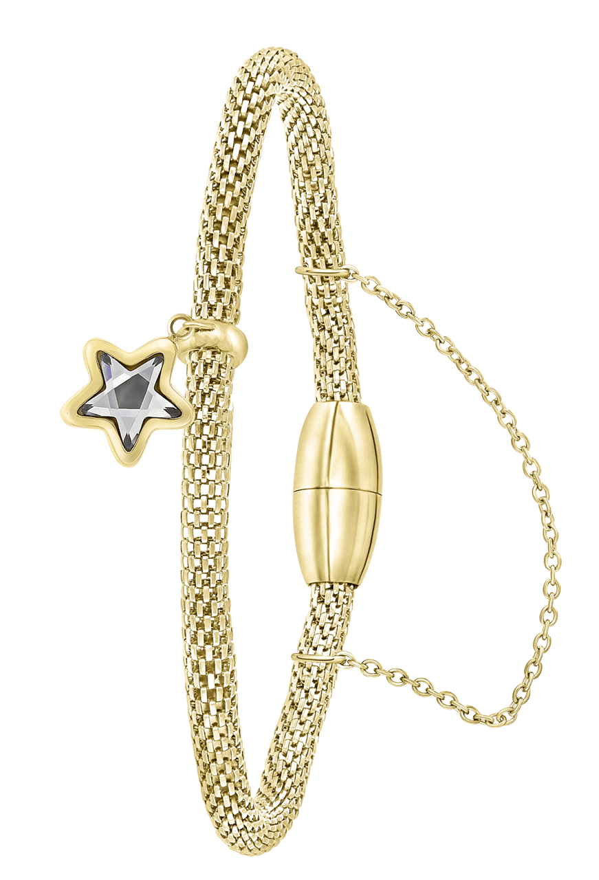Gerecycleerd stainless steel armband mesh goldplated ster met kristal