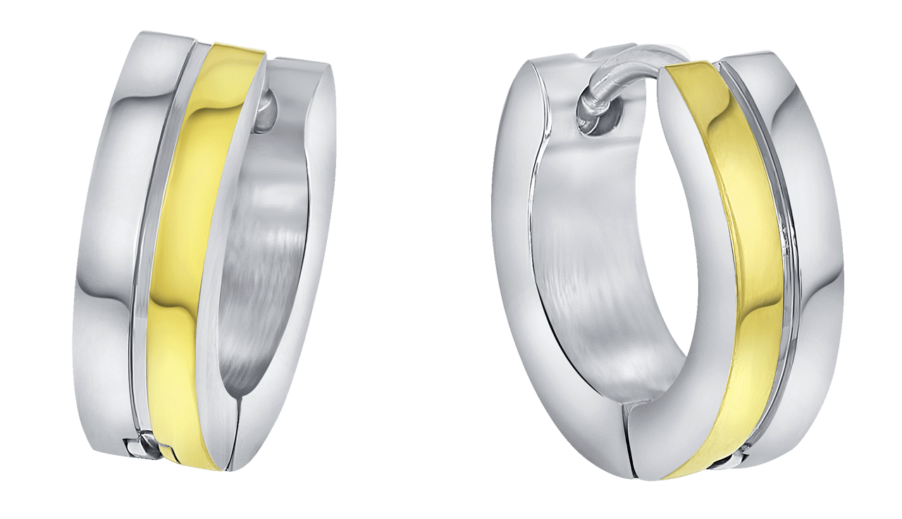 Gerecycleerd stainless steel oorbellen stainless steel/gold