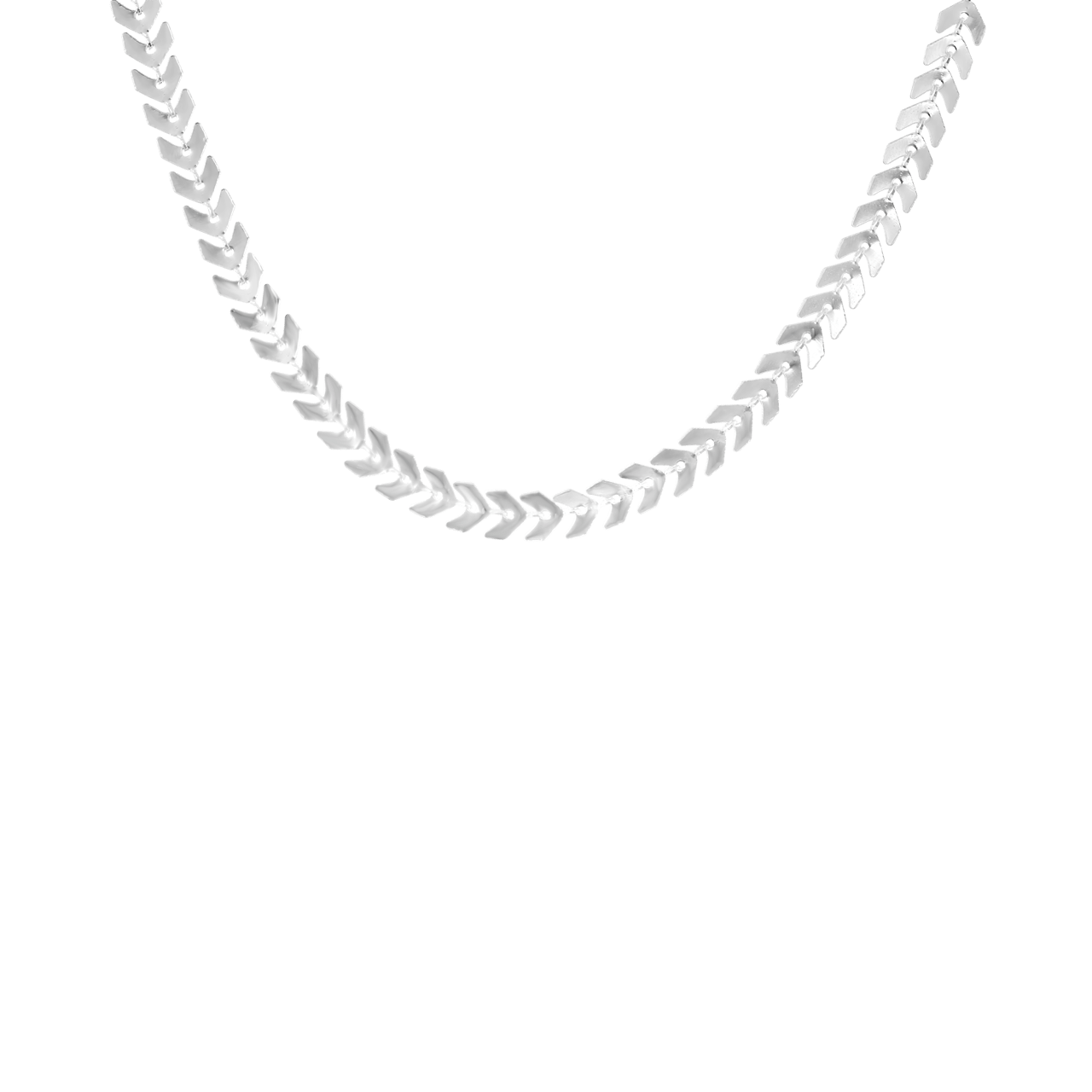 Zilverkleurige byoux choker