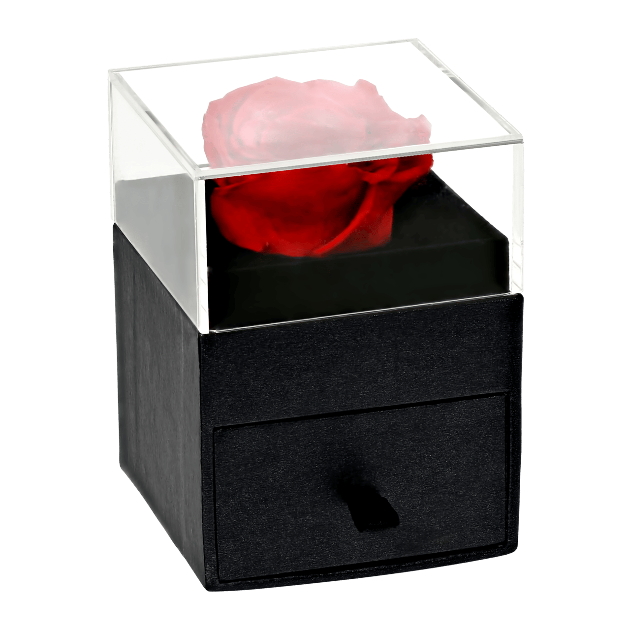 Schmuckdose „Everlasting Rose" für Ringe
