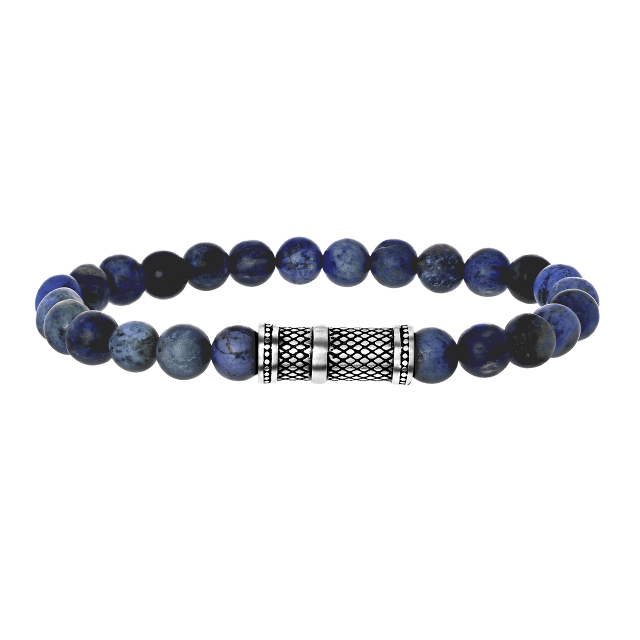 Stainless steel armband met dumortierite stenen