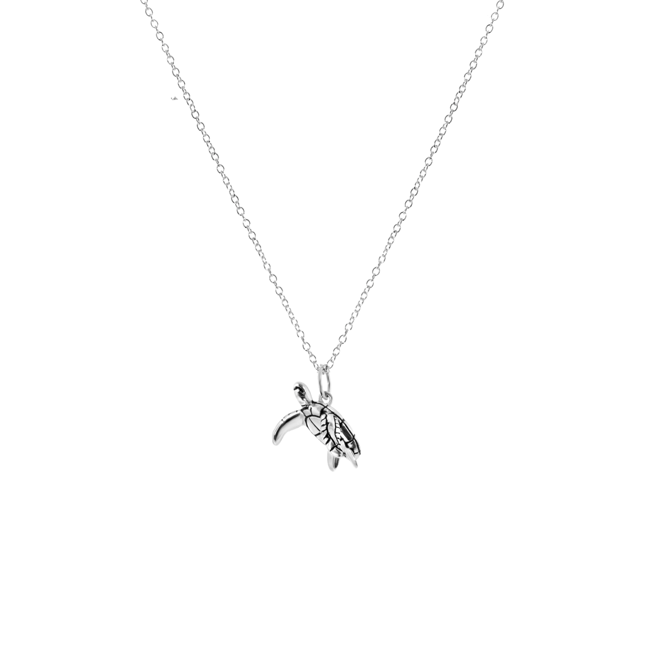 Zilveren ketting&hanger schildpad