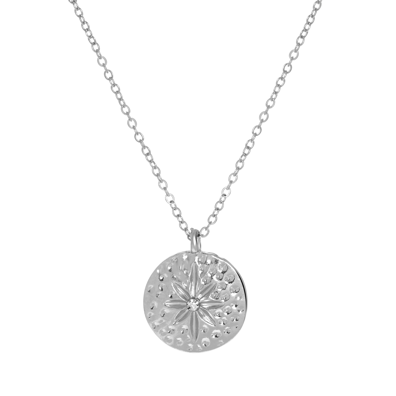 Zilverkleurige byoux ketting munt