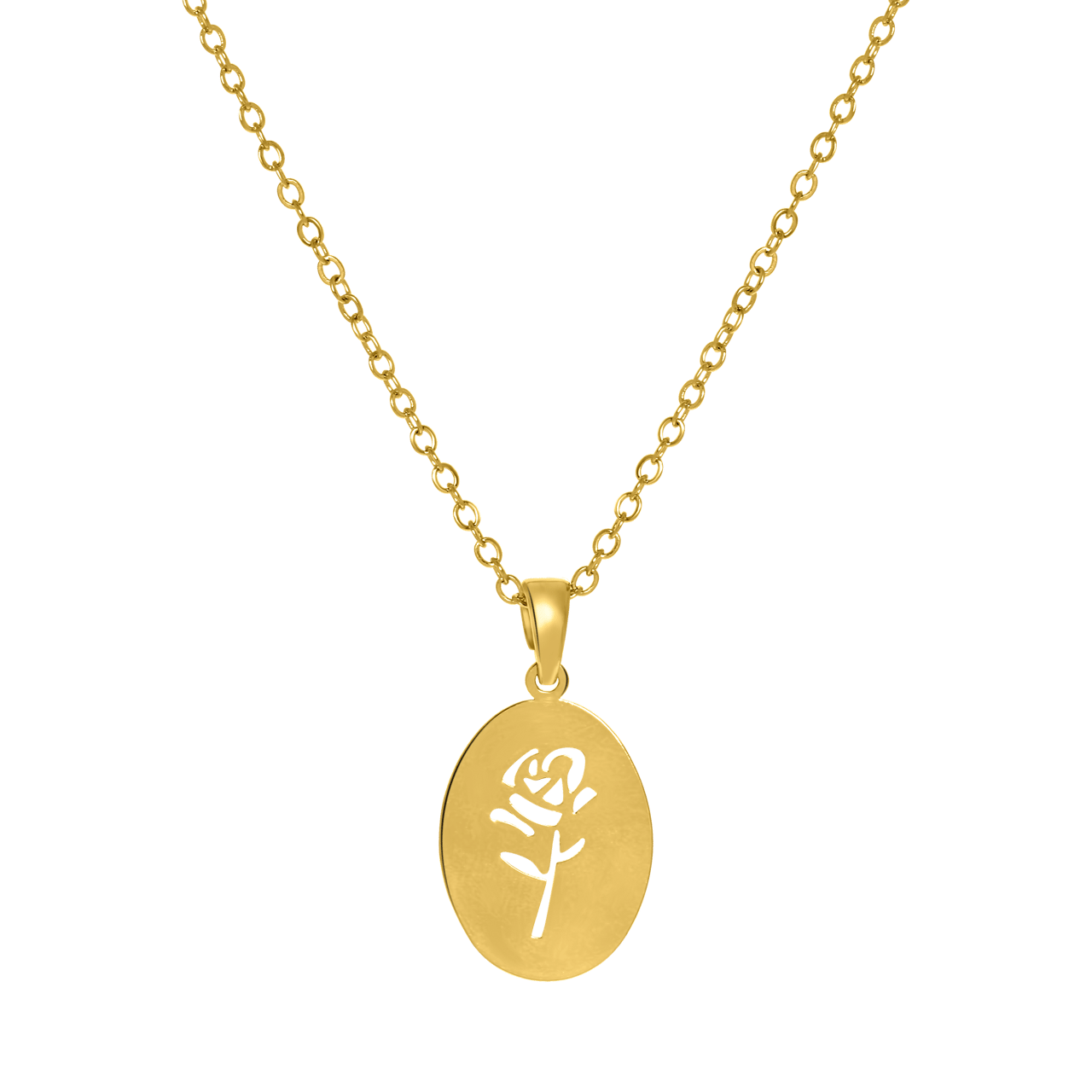 Bijoux goudkleurige ketting met hanger voor dames