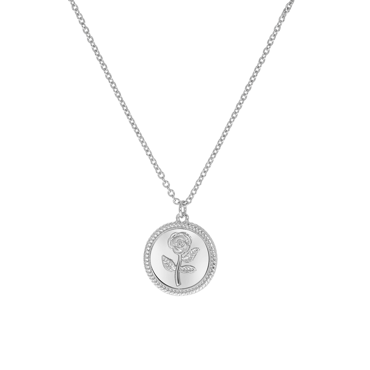 Zilverkleurige byoux ketting met munthanger roos