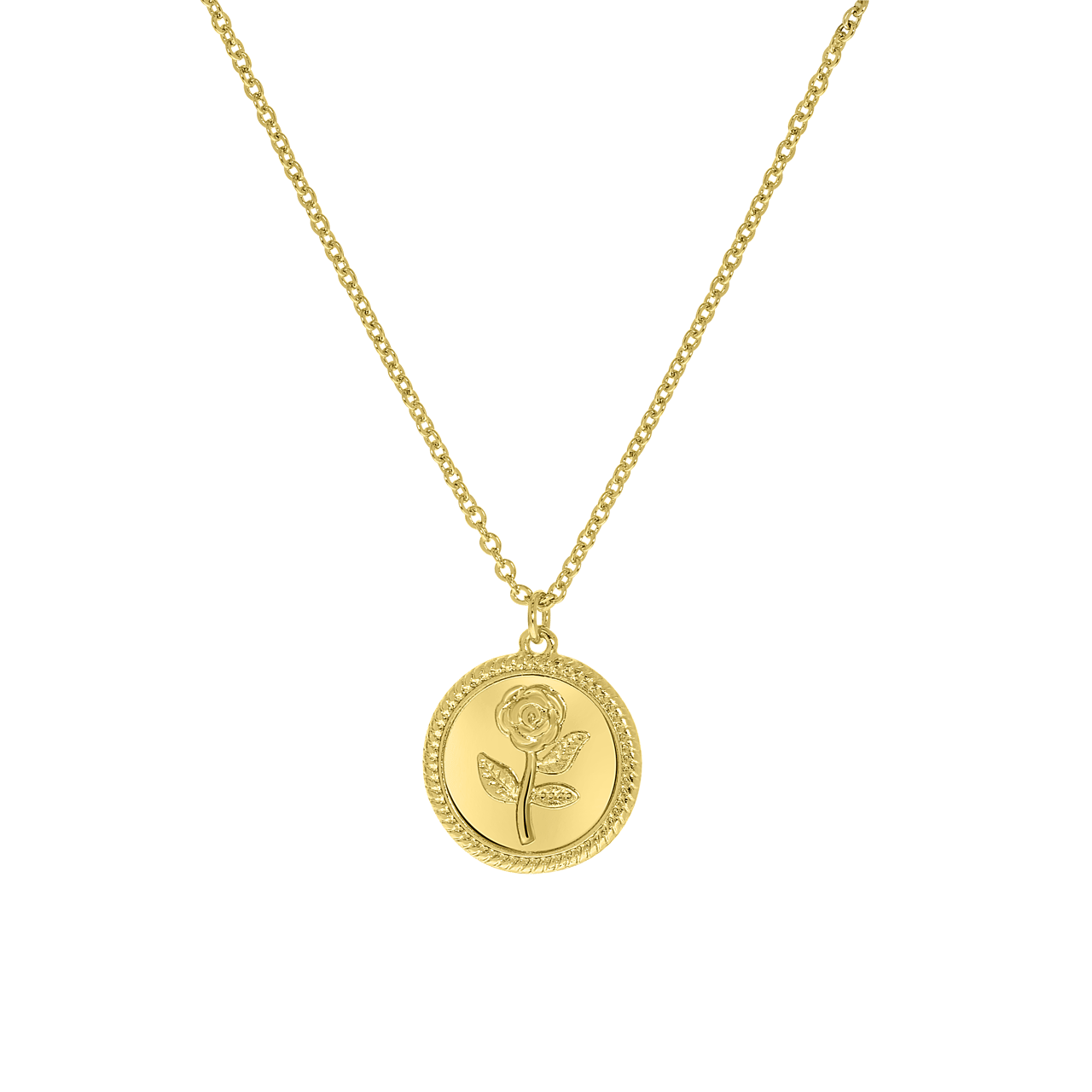 Goudkleurige byoux ketting met munthanger roos
