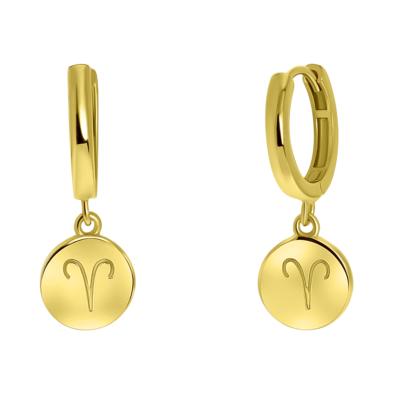 Zilveren oorbellen gold disc sterrenbeeld