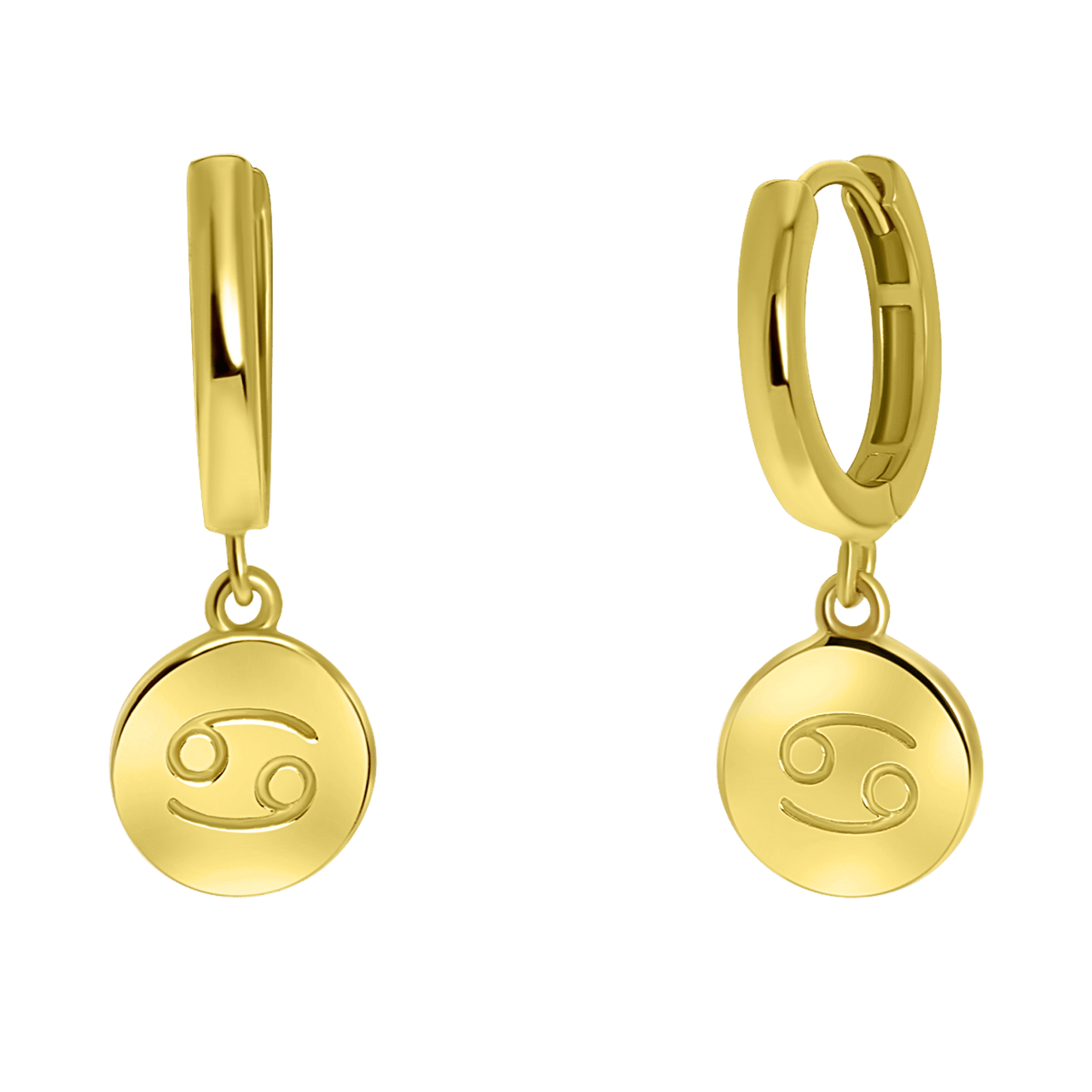 Zilveren oorbellen gold disc sterrenbeeld