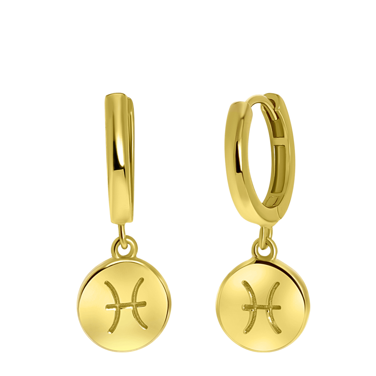 Zilveren oorbellen gold disc sterrenbeeld